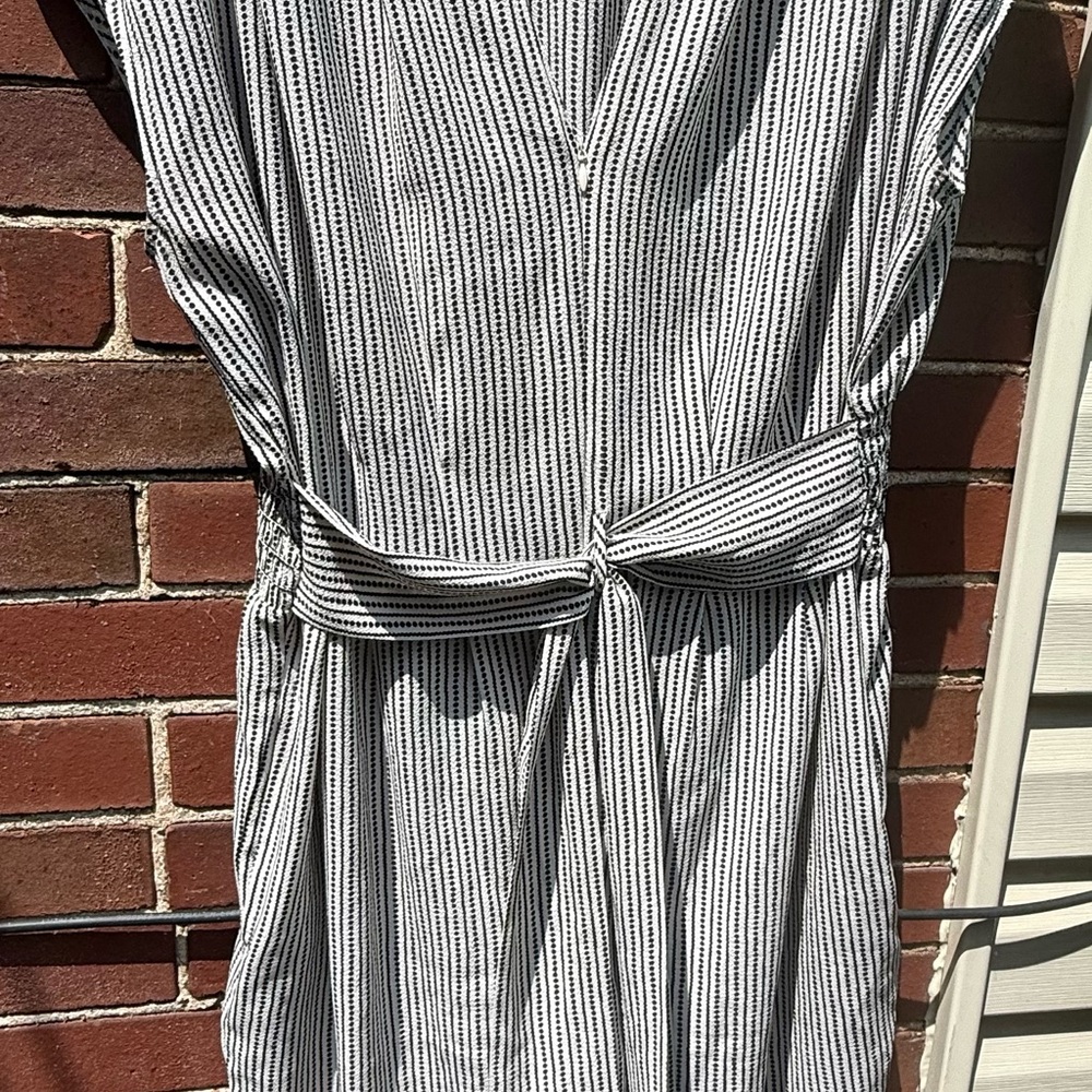 Max Studio Polka Dot Dress